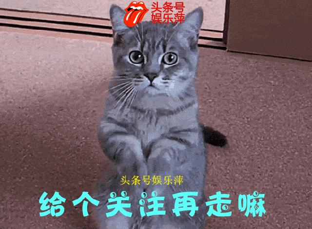 比特不都应该是这样的么？吃草莓那个是什么鬼