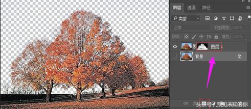 零基础ps抠图换背景详细步骤,ps局部换背景图片教程
