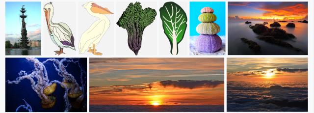 干货来袭,干货来袭请收好宝典