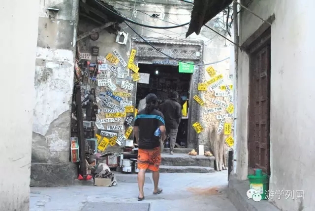 一生必去一次的非洲坦桑尼亚｜回归狂野