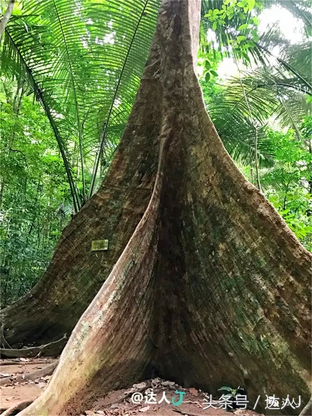 显然不适合玩婚内出轨!全泰国最大的泳池原来在这里