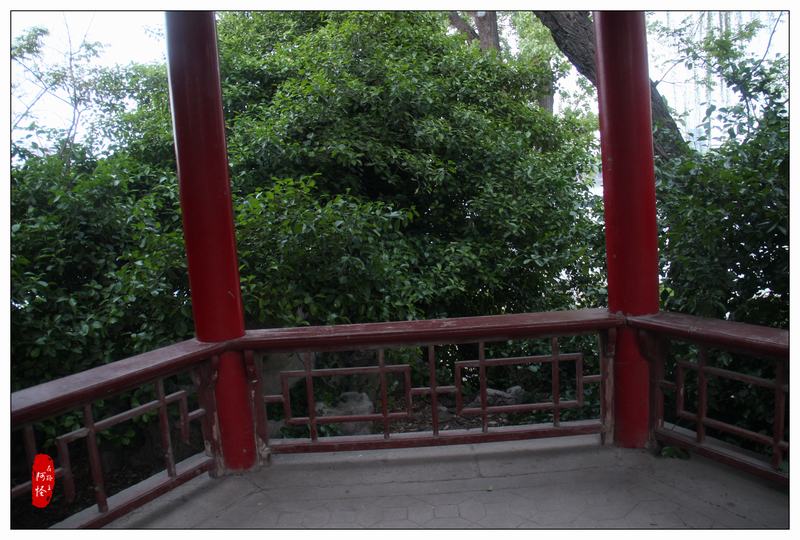 不止于斯-奈特科尔MT06MDEDC手电