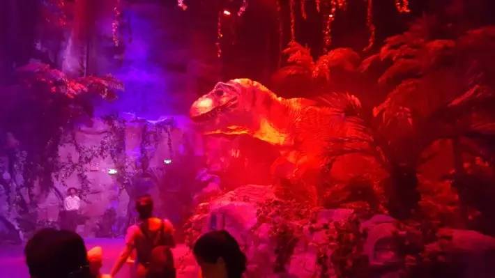 长隆野生动物园自驾游导游,广州长隆野生动物园有导游吗