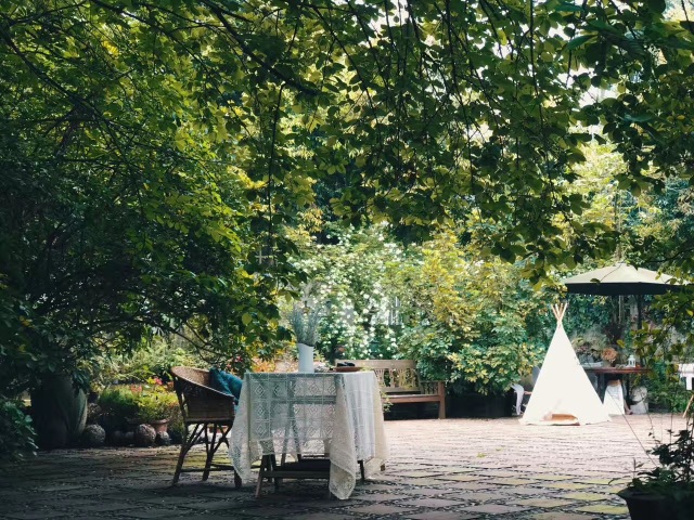 太多人读得懂风花雪月,读懂风花雪月却走不出沧海桑田
