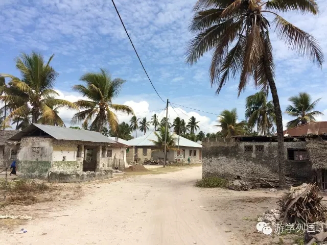 一生必去一次的非洲坦桑尼亚｜回归狂野