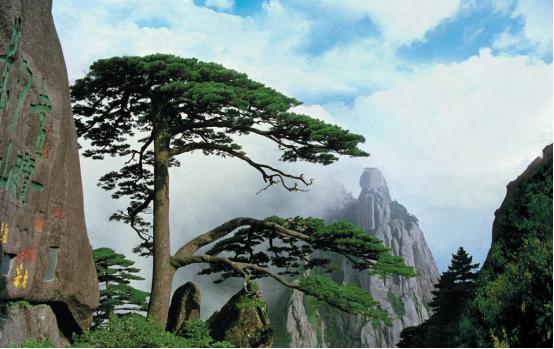 从合肥到昆明的高铁最快最佳路线,合肥至昆明高铁