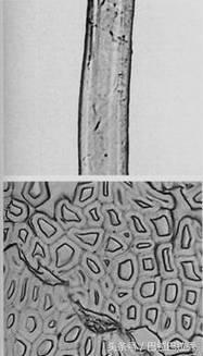 万年衣祖，匠心麻料