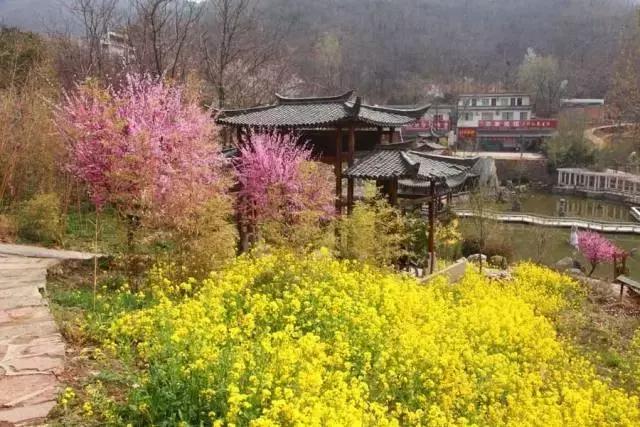 4月15日，大鸿寨将上演一场千人吃春的花草养生宴