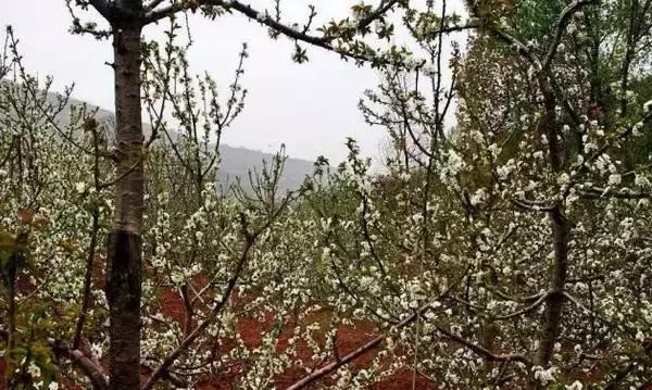 不亚樱桃沟、赛过杏花谷的洪庆墨玉河竟然没多少人知道！