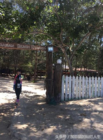 马来西亚亚庇到美人鱼岛,亚庇美人鱼岛游记