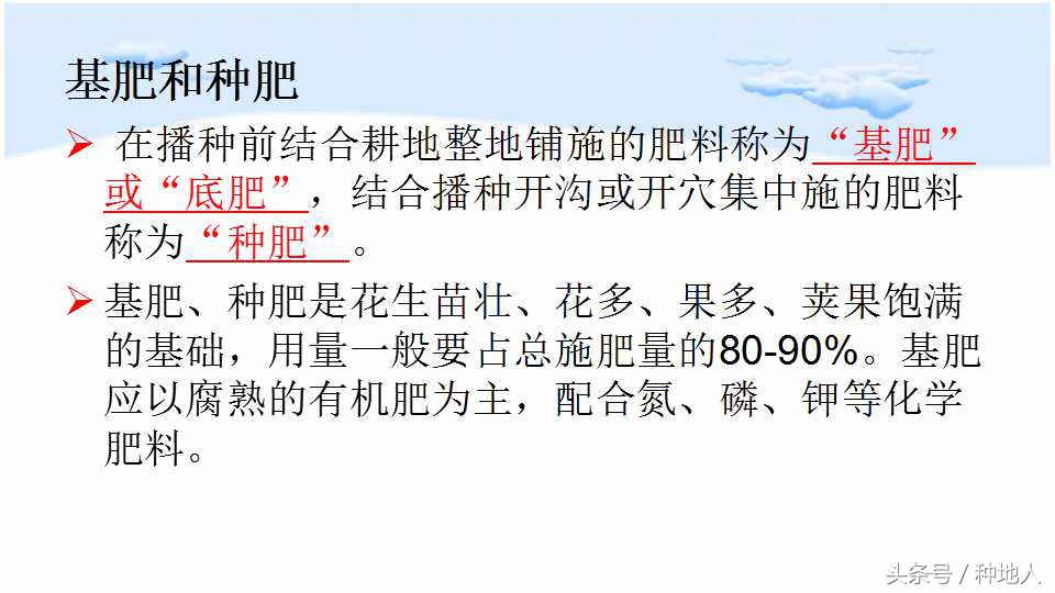 已经开始种花生了怎么种,马上要种花生了