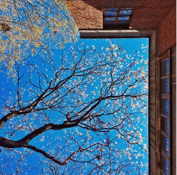 春季手机摄影大赛,摄影有哪些大赛