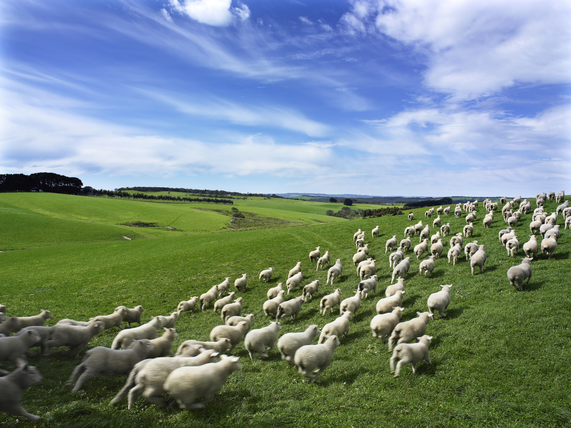 空·客专题：温暖“游”画，度假南半球之淑女游part·1