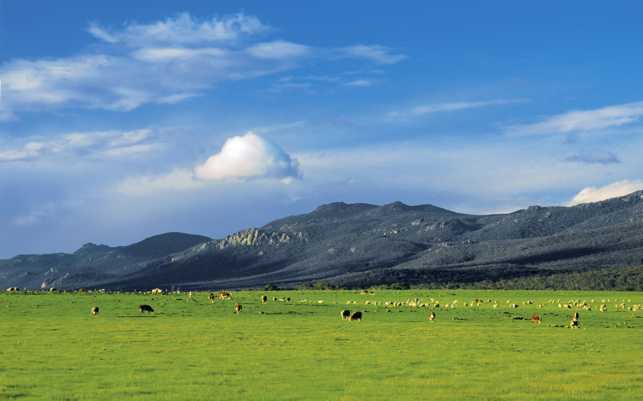 空·客专题：温暖“游”画，度假南半球之淑女游part·1