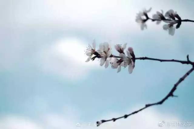 林志玲360无死角是真的美,全球最美360无死角的美女