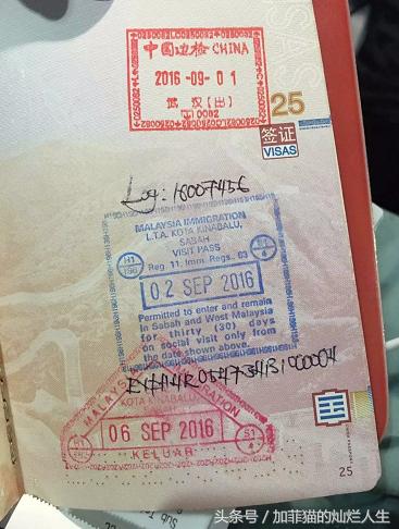 马来西亚亚庇到美人鱼岛,亚庇美人鱼岛游记