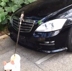 上班就像一条虫,上班是条虫下班是条龙壁纸