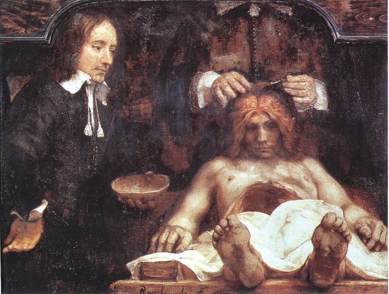 古今中外绘画欣赏,解剖全国绘画优秀作品