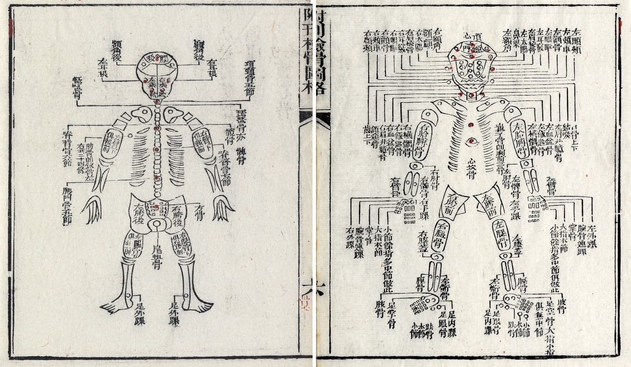 古今中外绘画欣赏,解剖全国绘画优秀作品