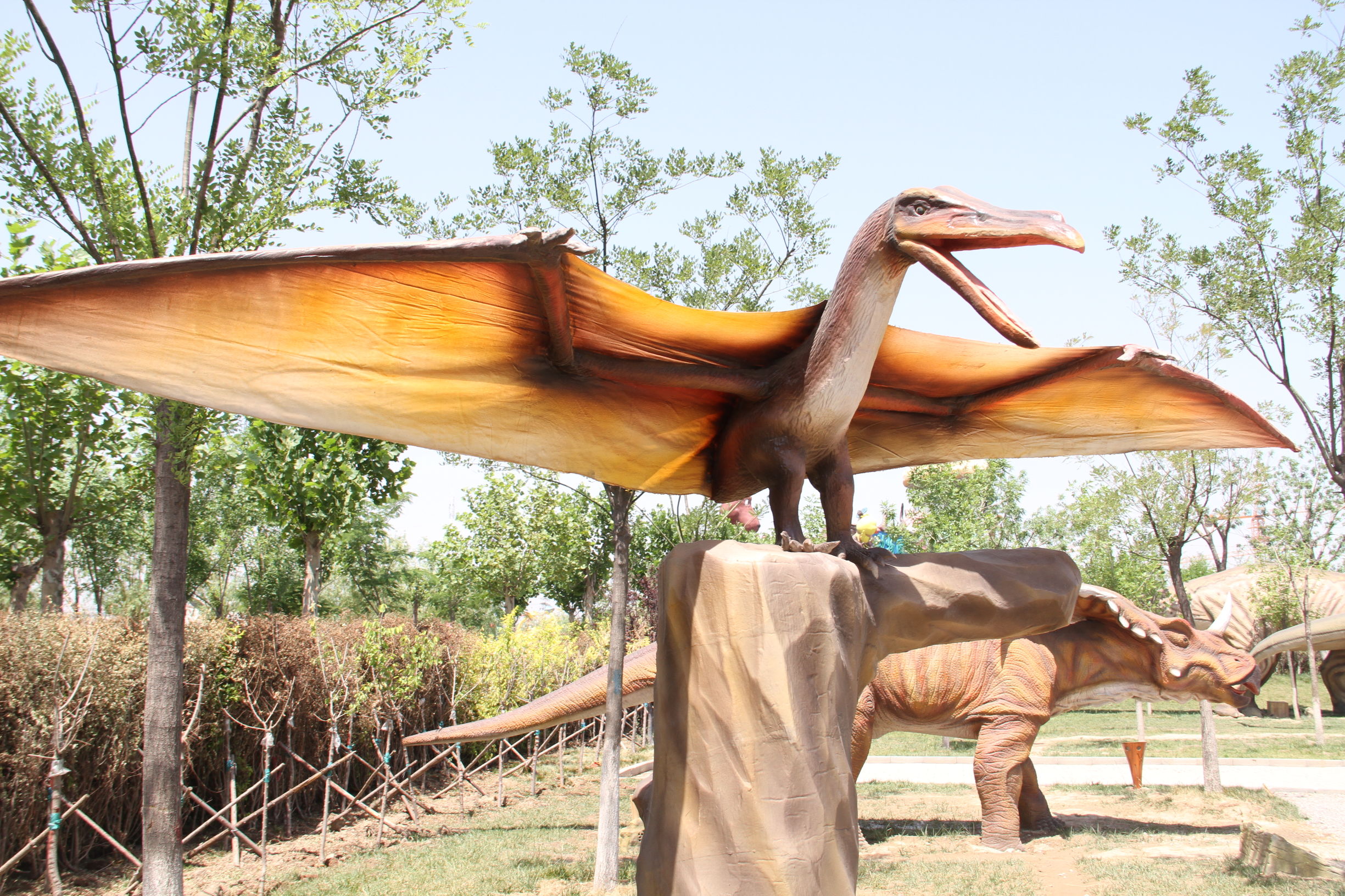 天津光合谷游乐场,天津光合谷游玩攻略