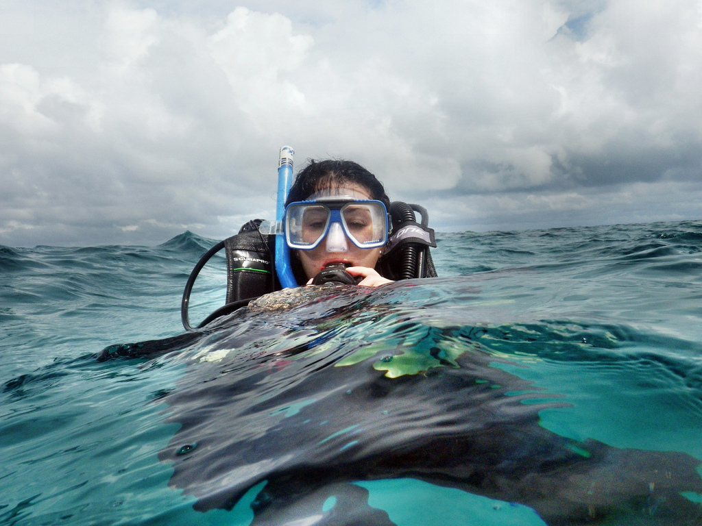 空·客专题：温暖“游”画，度假南半球之淑女游part·1