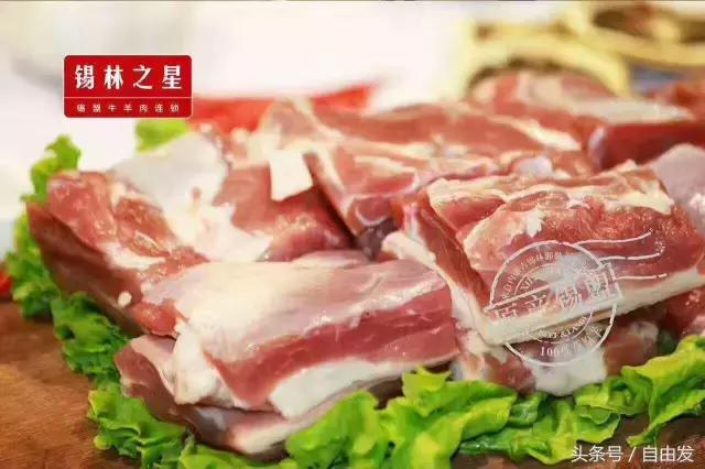 威武！这支包头球队代表中国出征世界大赛，今日凯旋