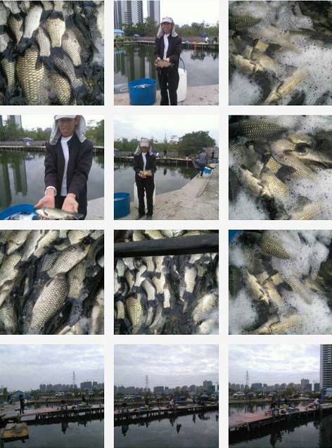 第一次野钓爆护是什么感觉,野钓不可缺少的10大爆护因素