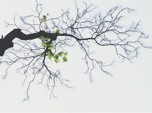 春季手机摄影大赛,摄影有哪些大赛