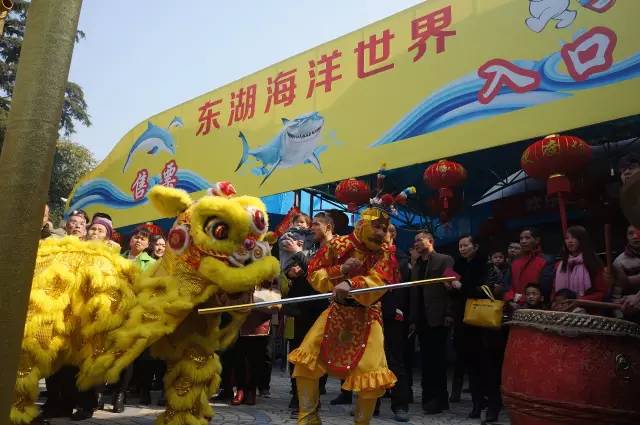 东湖海洋世界和海昌极地海洋公园,武汉东湖海洋世界和极地哪个好玩