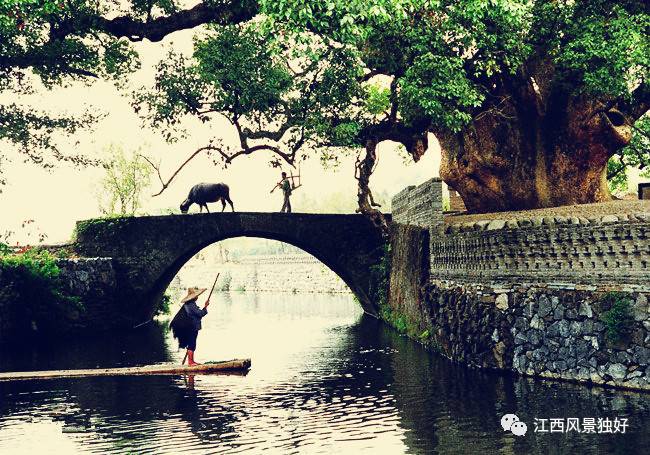 婺源旅游攻略300块钱,自驾游婺源两天旅游攻略及费用