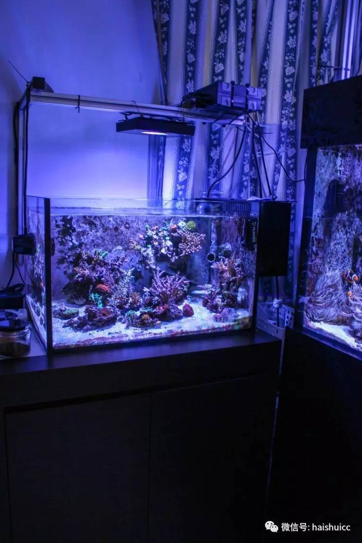 蛋炒饭的配方与做法,蛋炒饭的秘制酱料该怎么做