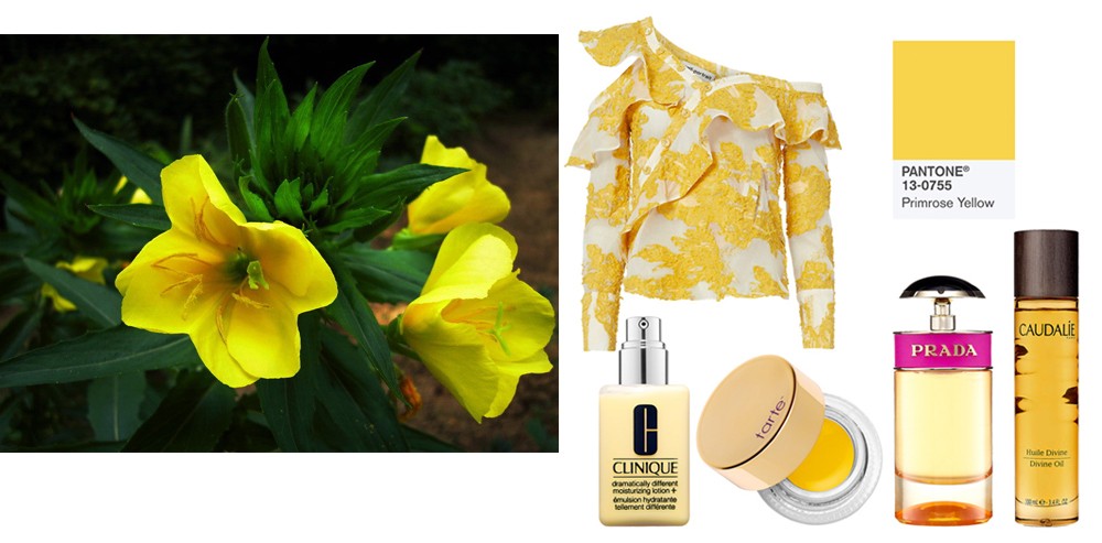 最是橙黄橘绿时原文,最是橙黄橘绿时全诗是什么意思