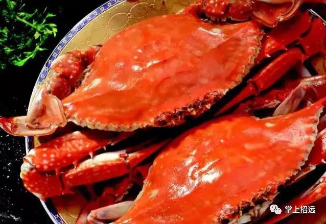 招远地名来历,招远地名大全