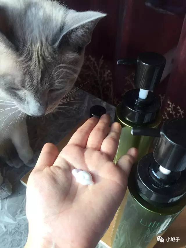 唐嫣发型师是谁,刘诗诗唐嫣陈妍希秀禾服