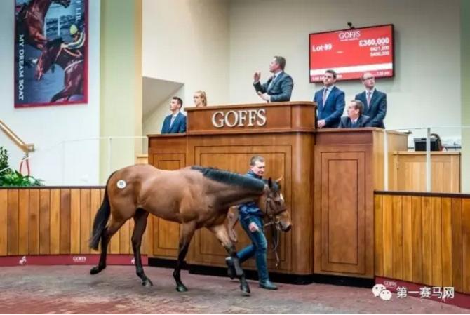 英哥夫斯试跑拍卖会日交易额近5000万