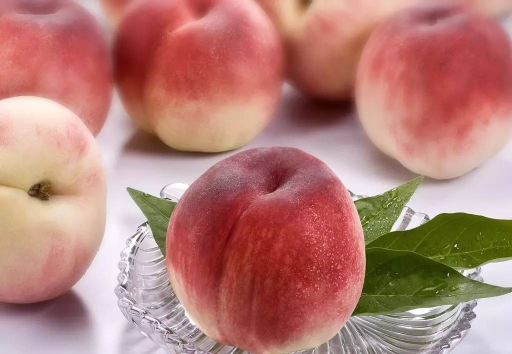 科普营养桃子和西瓜一起吃会中毒致命？听听营养师怎么说