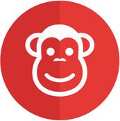 猴年属猴人的运势,十二生肖属猴的性格是怎样的