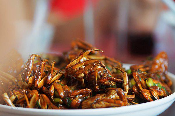 金茂凯悦酒店崇明还在哪里,上海崇明金茂凯悦酒店几星级