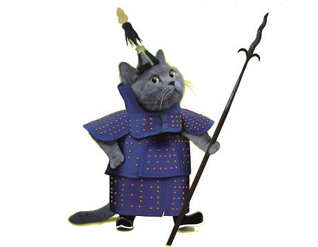 观复猫博物馆的猫咪,观复猫博物馆在什么地方