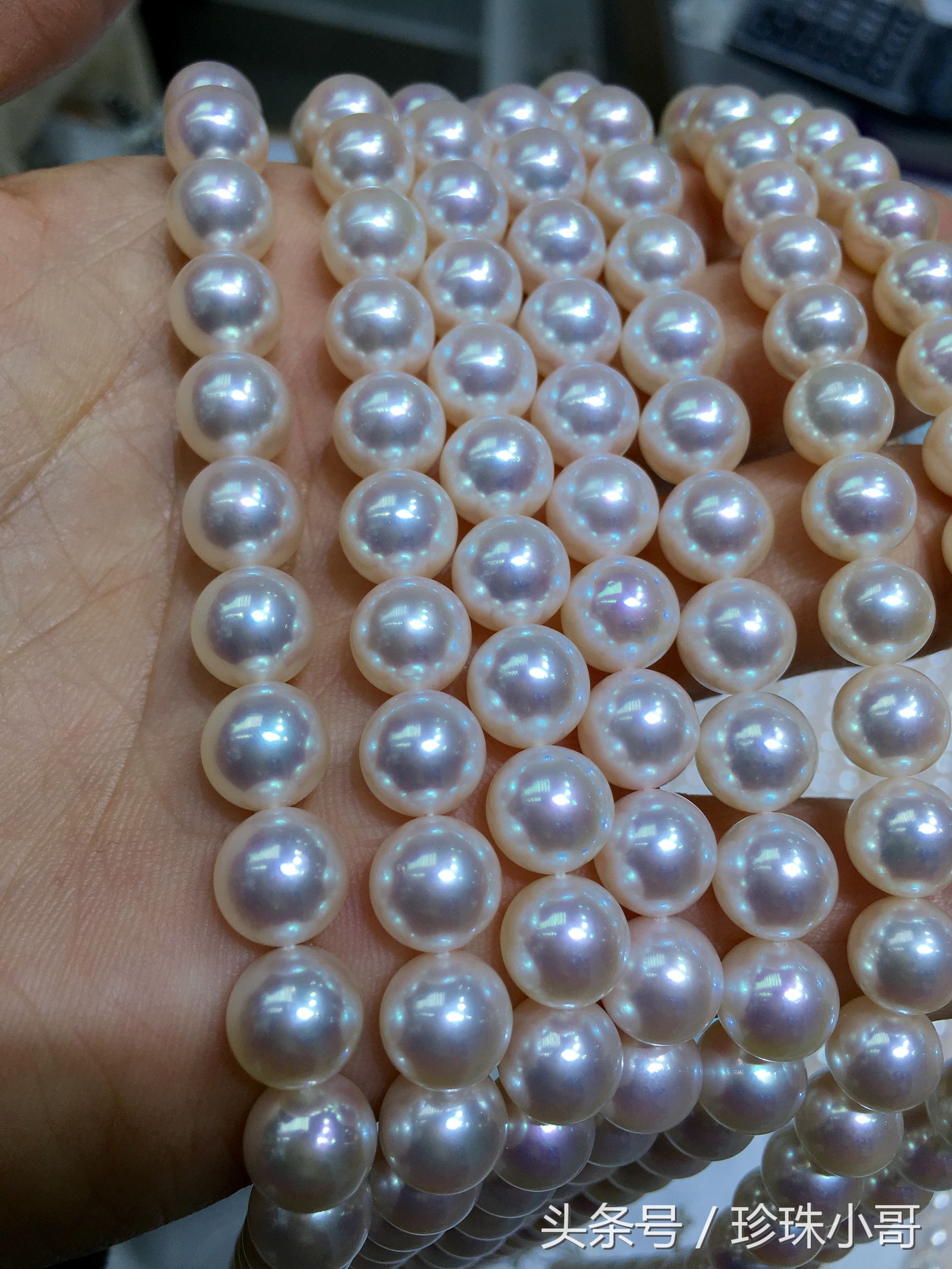 日本珍珠akoya和北海akoya区别,akoya海水珍珠5800元质量怎么样