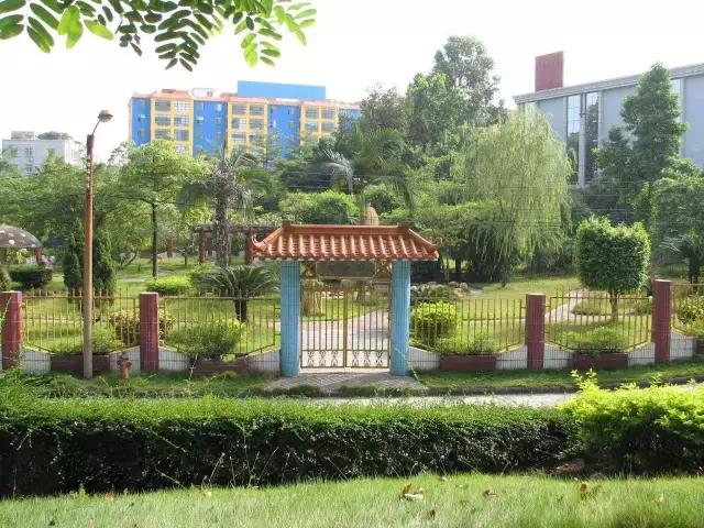 广州中考黄埔第三批哪些学校,广州黄埔区高中学校