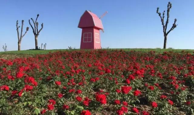 魔法宝贝门票,魔法宝贝团购