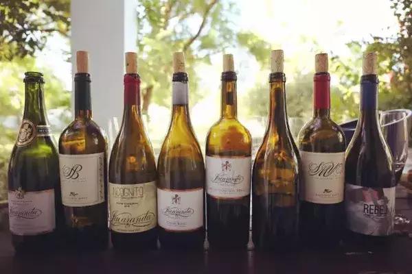 为什么选择去南非留学,为什么要去南非旅行