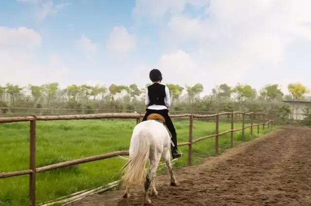 魔法宝贝门票,魔法宝贝团购