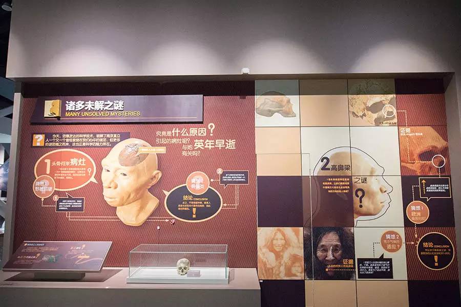 探寻人类的起源之谜,探寻人类祖先的奥秘