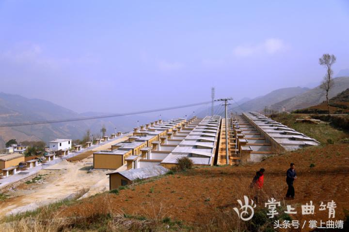 会泽黑土肉牛养殖基地,会泽县肉牛养殖