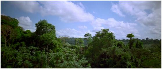 海量原料成本比别人高1-3倍，这家公司咋做生意的？