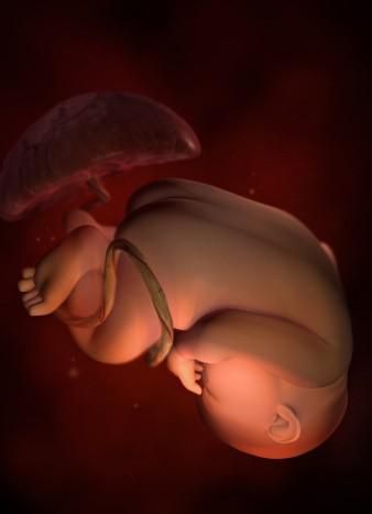 孕期做好各项检查的重要性,孕期做哪些检查能确保宝宝健康