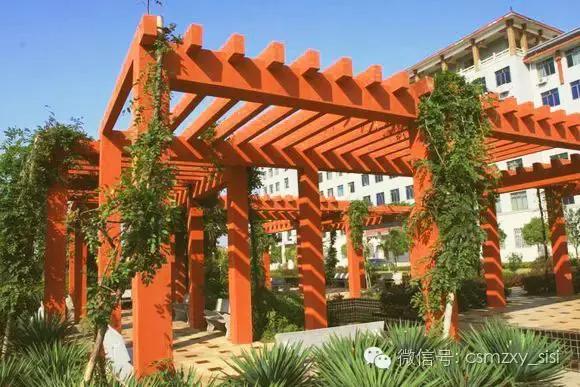 长沙民政职业学院哪个专业最好,长沙民政学院2022录取名单