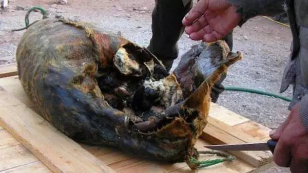 5种“臭味”出名的美食,几种臭味美食不能接受